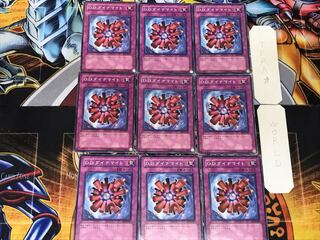 D.D.ダイナマイト 1 ノーマル 9枚セット てら