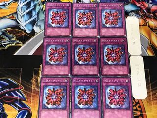 D.D.ダイナマイト 2 ノーマル 9枚セット てら