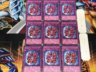 D.D.ダイナマイト 3 ノーマル 9枚セット てら