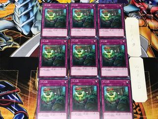 Waking the Dragon 2 Normal 9-card set Tera