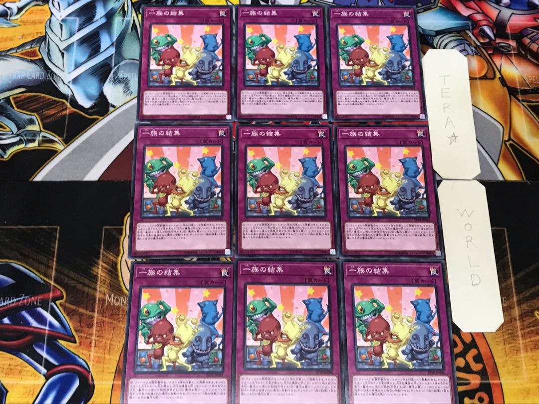 Super Team Buddy Force Unite! 3 Normal 9-card set Tera