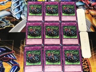 Giant Trap Hole 1 Normal, set of 9 Tera.