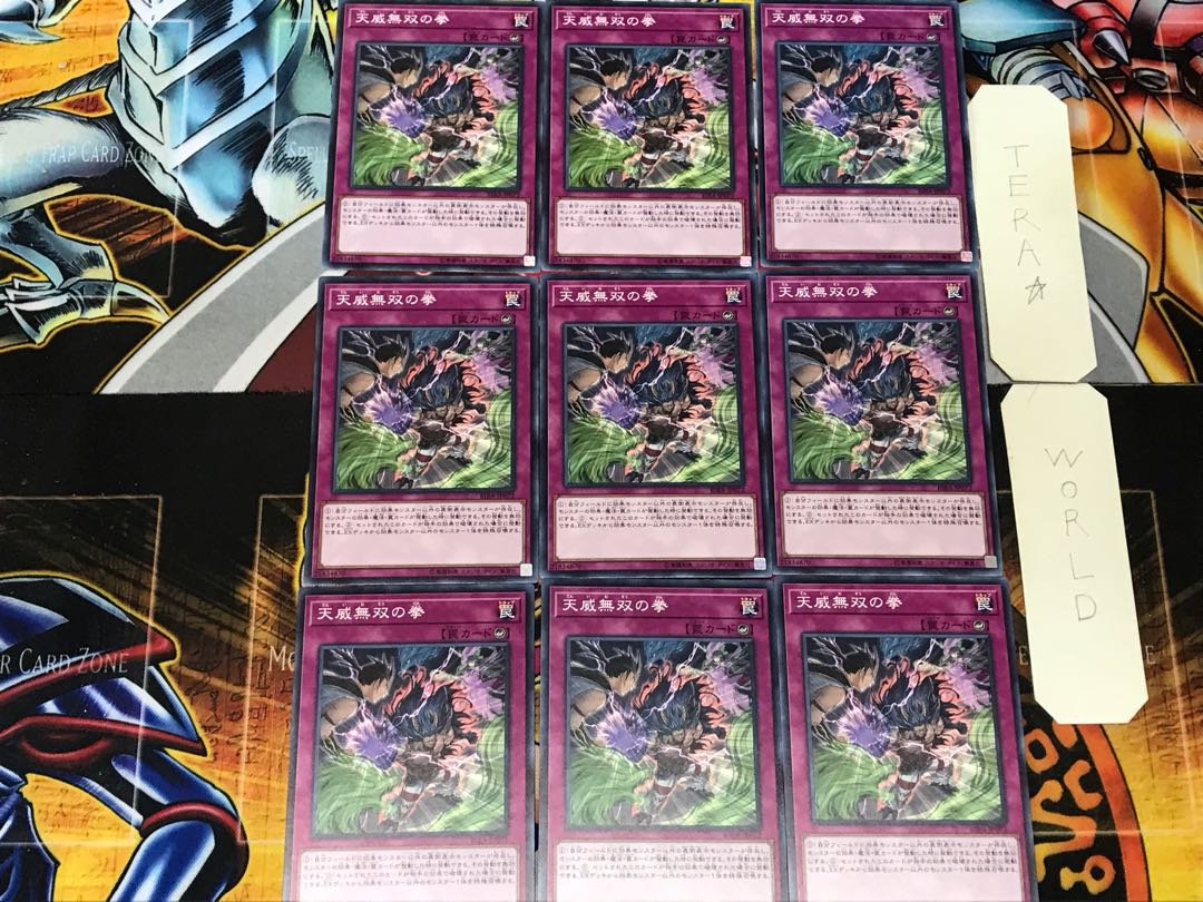 Fists of the Unrivaled Tenyi 1 Normal 9-card set Tera