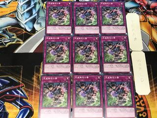 Fists of the Unrivaled Tenyi 2 Normal 9-card set Tera