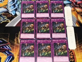 Traptrix Trap Hole Nightmare 1 Normal 9-card set Tera