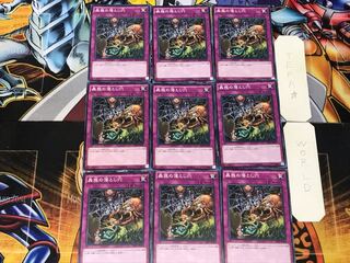 Traptrix Trap Hole Nightmare 4 Normal 9-card set Tera