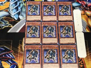 T.G. Warwolf 4 Normal, set of 9 Tera.