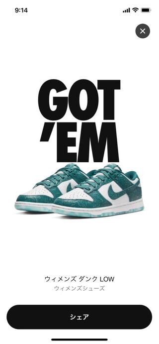 Nike WMNS Dunk Low "Ocean" 23.5cm