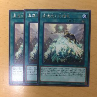 星遺物の守護竜 3枚