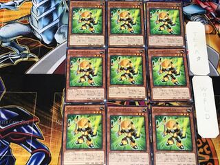 Bumborg 003 3 Normal, set of 9 Tera