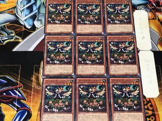 Madolche Hootcake 4 Normal, set of 9 Tera