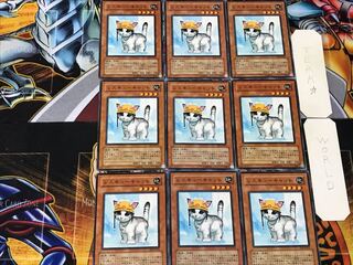 Rescue Cat 2 Normal, set of 9, Tera