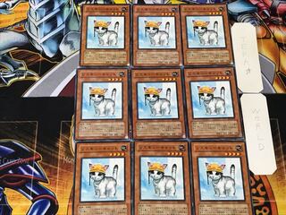 Rescue Cat 3 Normal, set of 9, Tera