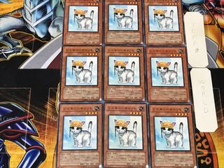 Rescue Cat 5 Normal, set of 9 Tera