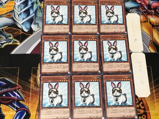 Rescue Rabbit 1 Normal, set of 9 Tera
