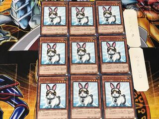 Rescue Rabbit 2 Normal, set of 9, Tera