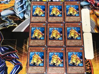 Swap Frog 1 Normal, set of 9 Tera.