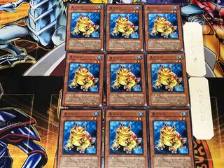 Swap Frog 2 Normal, set of 9, Tera