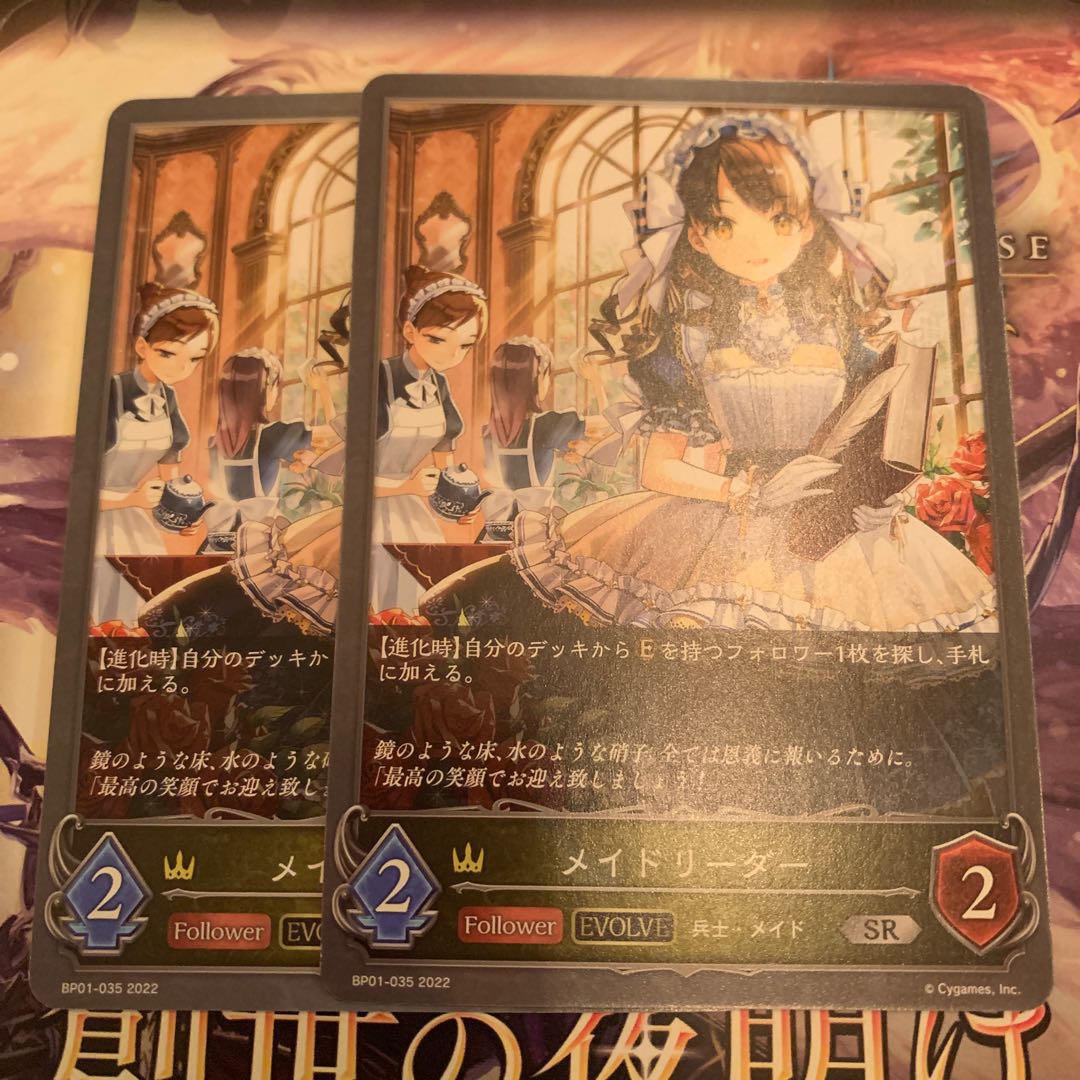 Rosa de Rieder SR After Evolution Set of 2