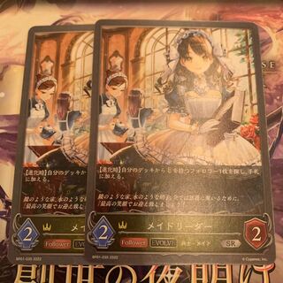 Rosa de Rieder SR After Evolution Set of 2