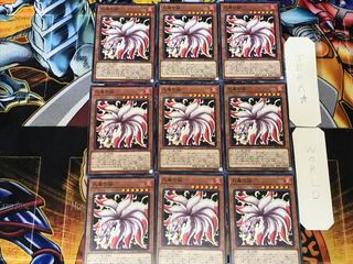 Nine-Tailed Fox 1 Normal, set of 9 Tera.