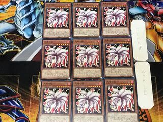 Nine-Tailed Fox 2 Normal, set of 9 Tera