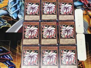 Nine-Tailed Fox 3 Normal 9-card set Tera