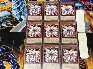 Nine-Tailed Fox 5 Normal, set of 9 Tera.