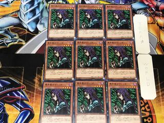 Witch of the Black Forest 1 Normal 9-card set Tera