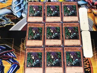 Witch of the Black Forest 2 Normal 9-card set Tera