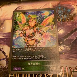 Guidance of Nature SR 1枚