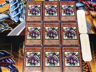 魂を削る死霊 2 ノーマル 9枚セット てら