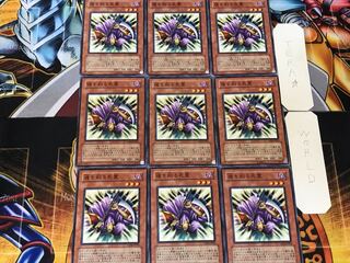 魂を削る死霊 4 ノーマル 9枚セット てら