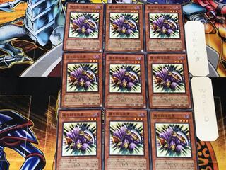 魂を削る死霊 5 ノーマル 9枚セット てら