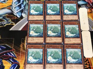 Kalantosa, Mystical Beast of the Forest 2 Normal 9-card set Tera