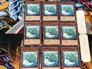 Kalantosa, Mystical Beast of the Forest 4 Normal 9-card set Terra