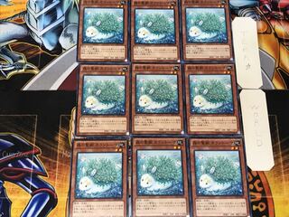 Kalantosa, Mystical Beast of the Forest 5 Normal 9-card set Terra