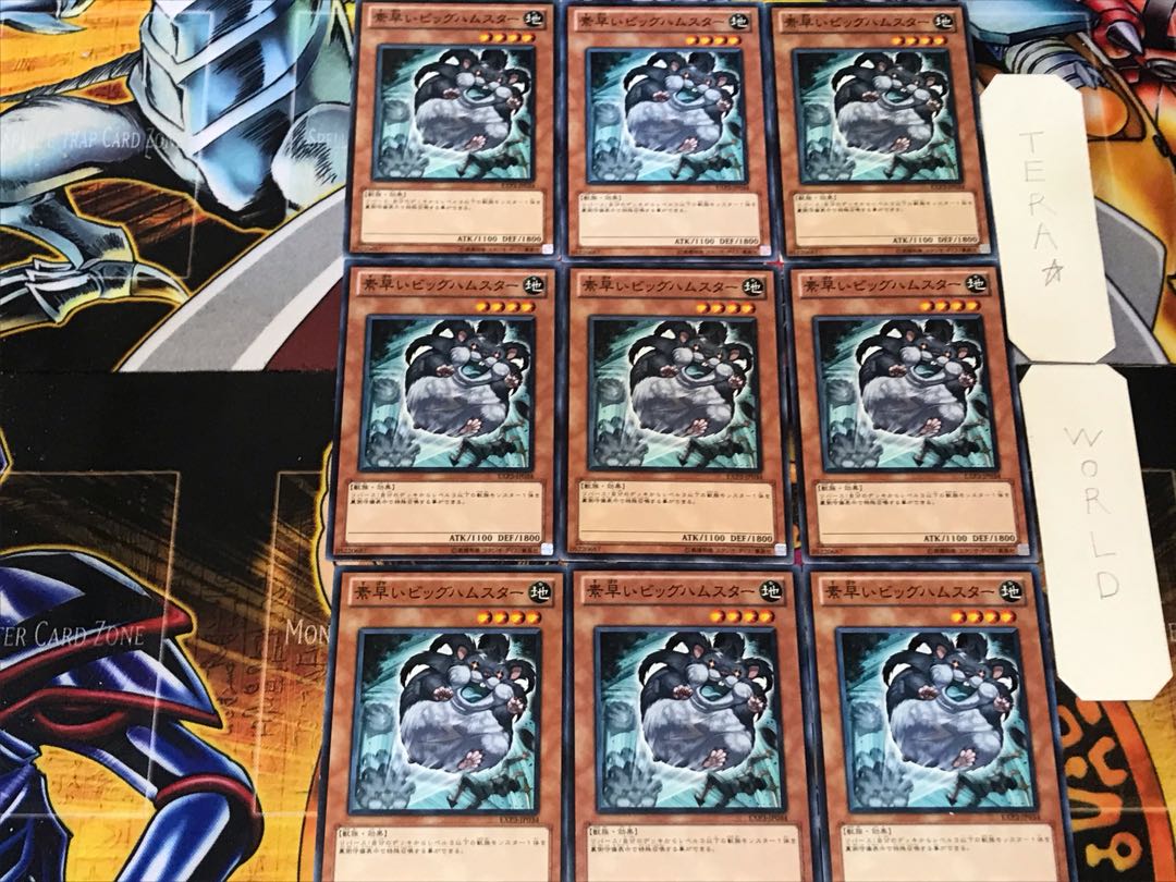 Super-Nimble Mega Hamster 2 Normal, set of 9 Tera