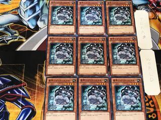 Super-Nimble Mega Hamster 2 Normal, set of 9 Tera