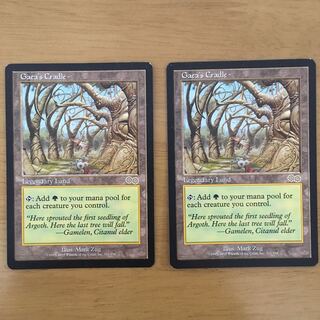 【ビック様専用】ガイアの揺籃の地