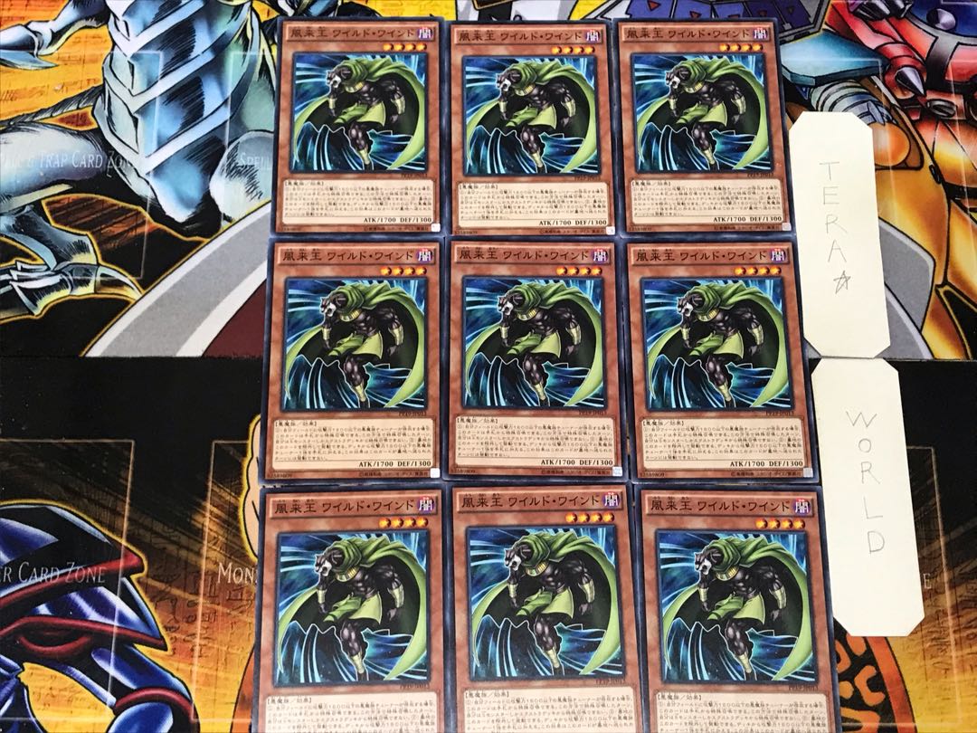 Wandering King Wildwind 1 Normal 9-card set Tera