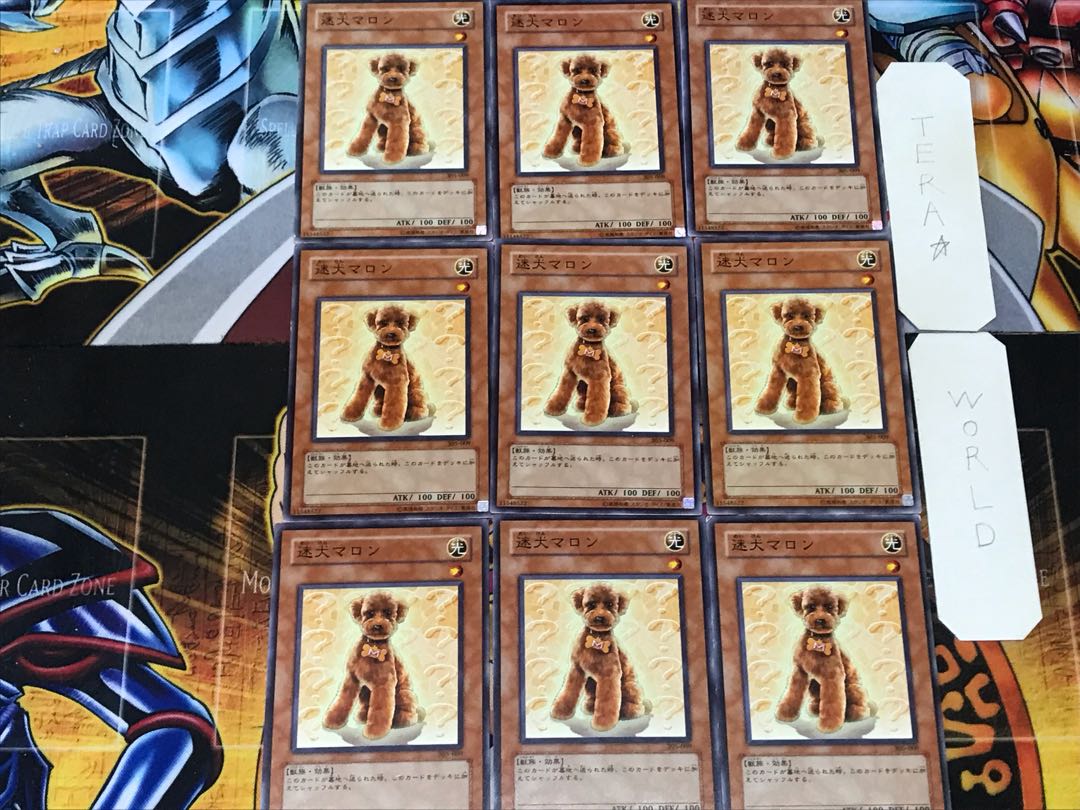 Outstanding Dog Marron 1 Normal 9-card set Tera