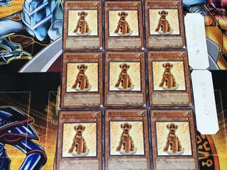 Outstanding Dog Marron 1 Normal 9-card set Tera