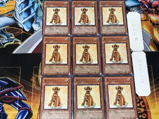 Outstanding Dog Marron 2 Normal 9-card set Tera