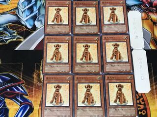 Outstanding Dog Marron 3 Normal 9-card set Tera