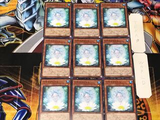 Rikka Petal 1 Normal, set of 9 tera