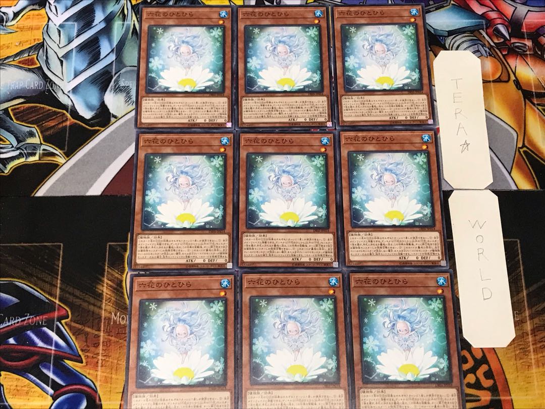 Rikka Petal 2 Normal, set of 9 Tera