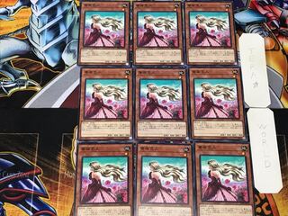 薔薇恋人 1 ノーマル 9枚セット てら