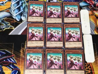 薔薇恋人 2 ノーマル 9枚セット てら