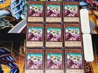 薔薇恋人 3 ノーマル 9枚セット てら